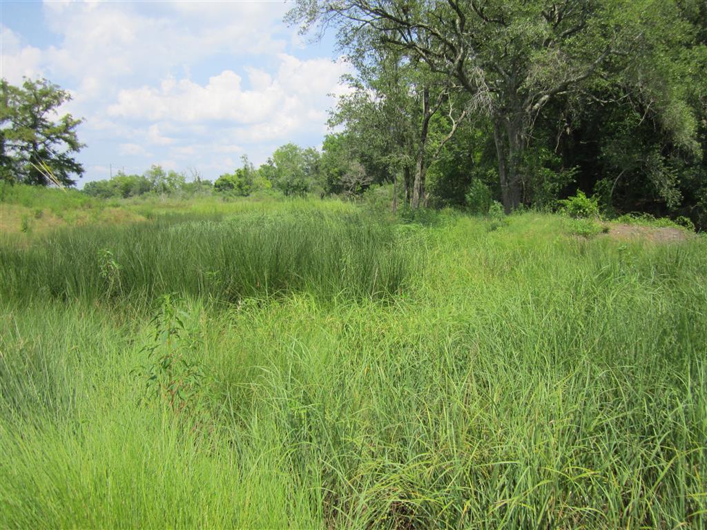 AugusteRestoredMarsh Bayou Auguste Tidal Stream Restoration, Phase 4