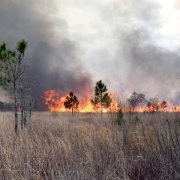 Prairie mitigation prescribed burn