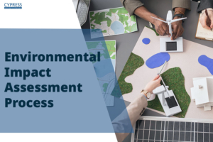 Environmental Impact Assessment Process