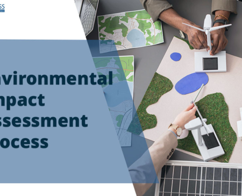 Environmental Impact Assessment Process
