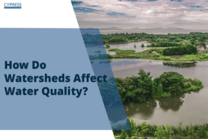 How Do Watersheds Affect Water Quality