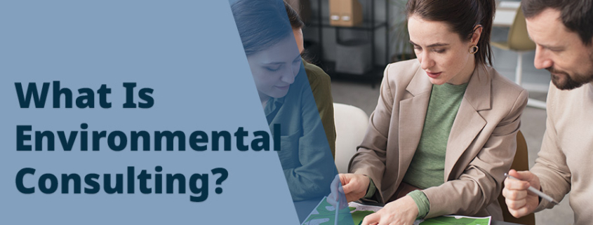 What-Is-Environmental-Consulting