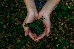 What Is Environmental Consulting