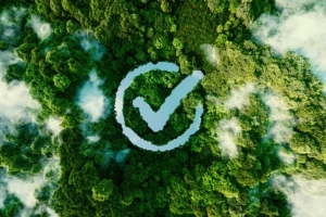 What Is Environmental Permitting