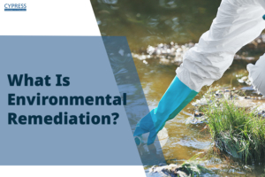 What Is Environmental Remediation