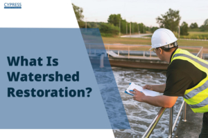 What Is Watershed Restoration