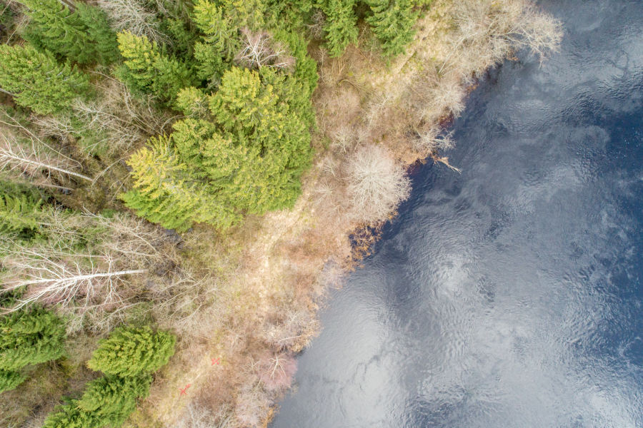 Conservation Easement
