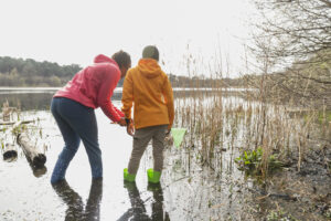 What Is Wetland Restoration