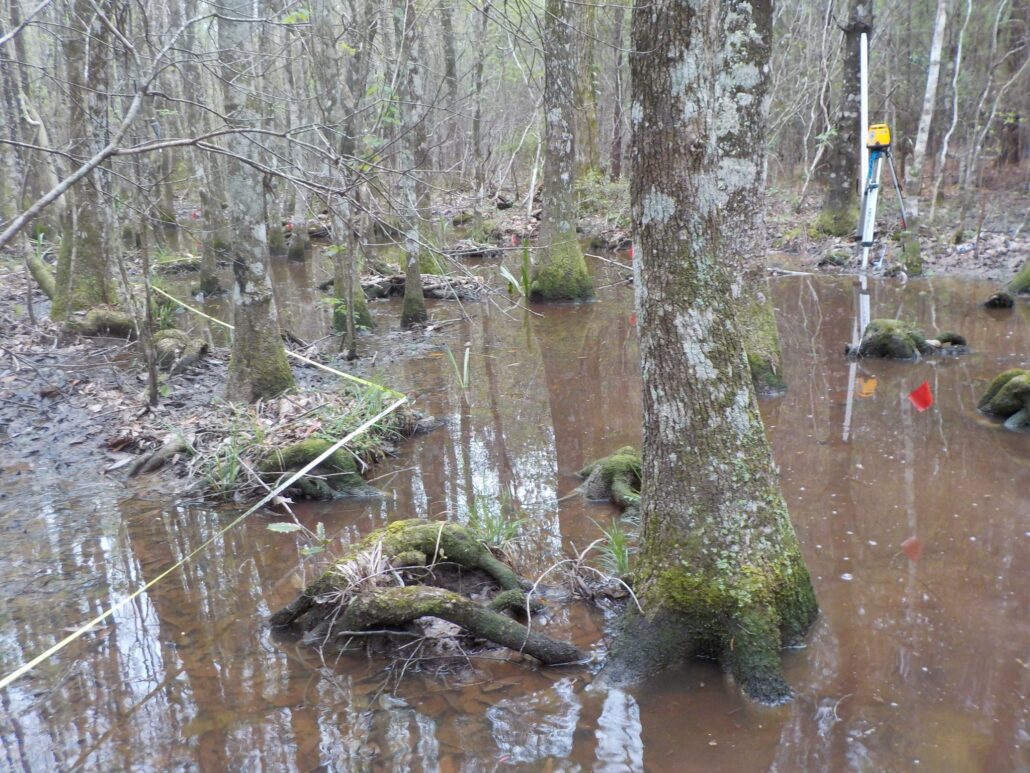 Flooded bottomland hardwood forest with measuring tape, flagging, and a laser level set up among the trees