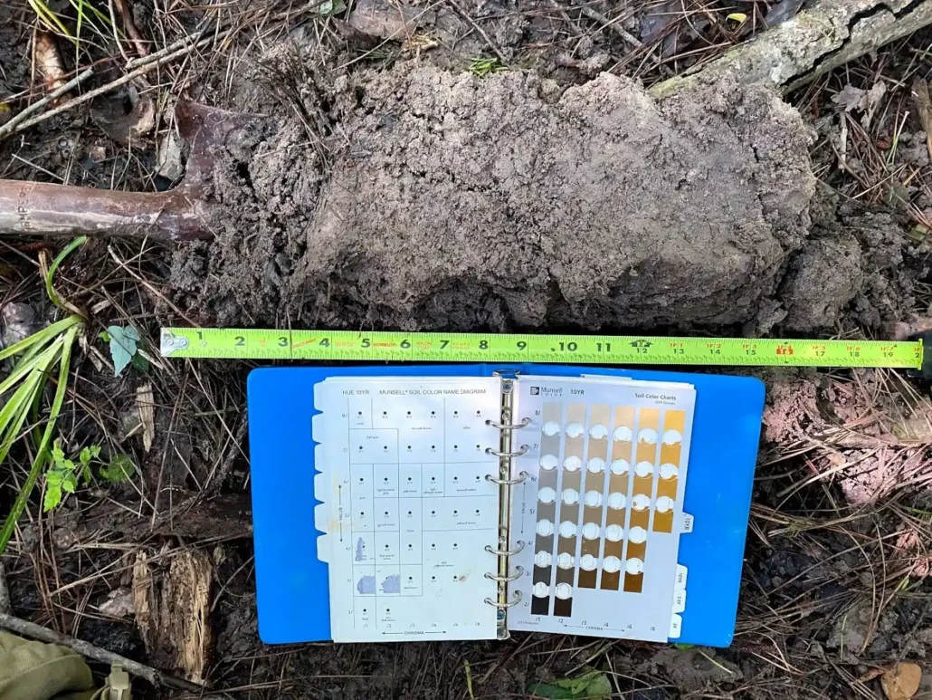 Soil sample on a shovel beside a tape measure and an open Munsell soil color chart during a wetland delineation, used to check for hydric soil indicators