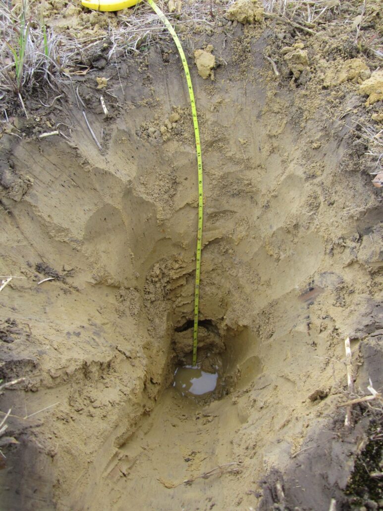 Hand-dug soil pit with a measuring tape and water standing in the bottom